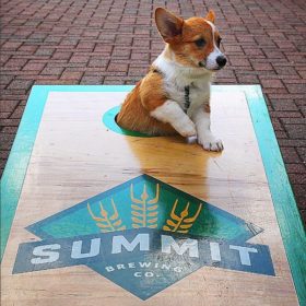 Summit Brewing Company