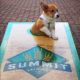 Summit Brewing Company