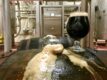 Summit Brewing Company