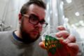 Summit Brewing Company