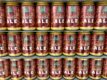 Summit Brewing Company