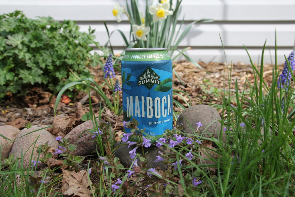 Summit Maibock Blonde Bock Can in Garden