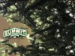 Summit Brewing Company