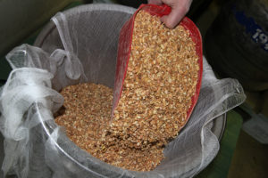 Summit beer first arrives to us as malt