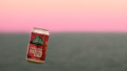 Summit Brewing Company